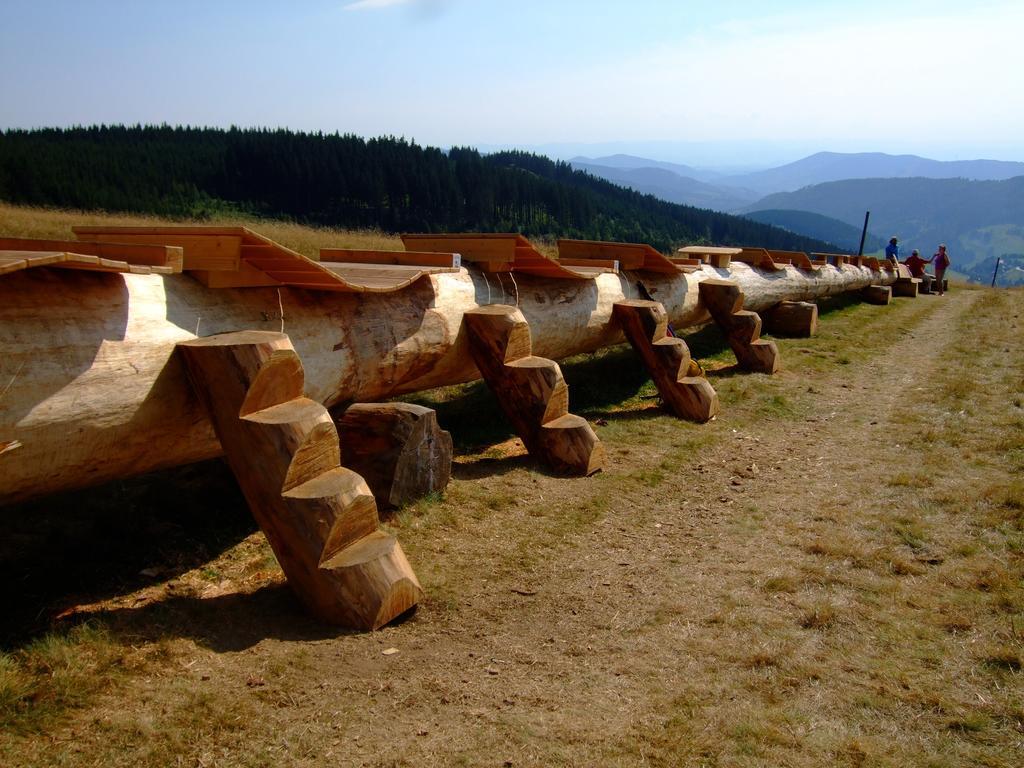 Bergseele Privat- & Retreathotel Schwarzwald Todtnauberg Dış mekan fotoğraf