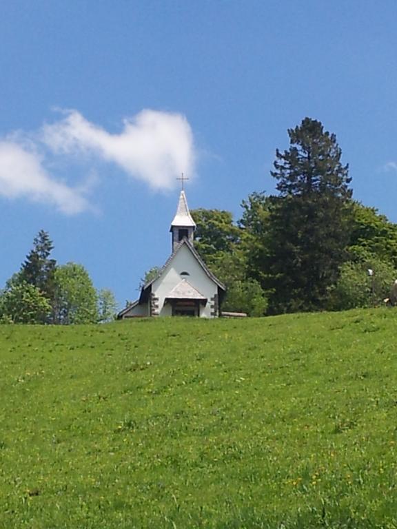 Bergseele Privat- & Retreathotel Schwarzwald Todtnauberg Dış mekan fotoğraf