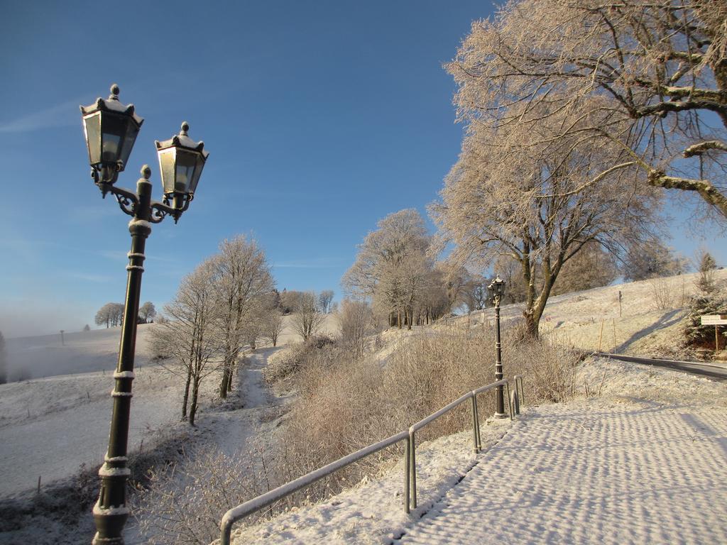 Bergseele Privat- & Retreathotel Schwarzwald Todtnauberg Dış mekan fotoğraf