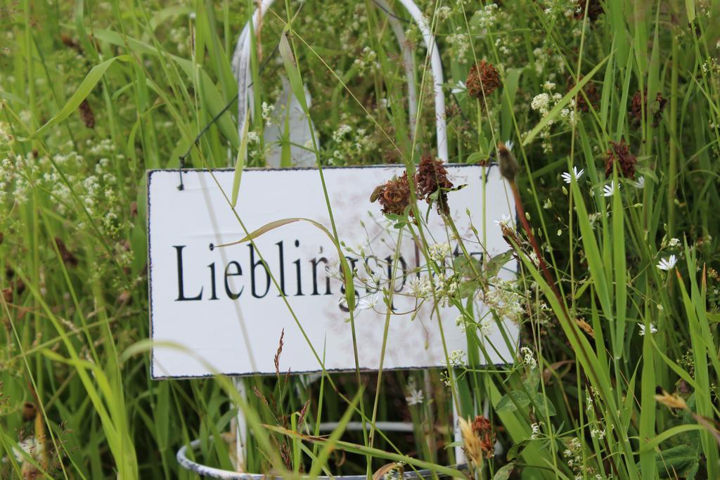 Bergseele Privat- & Retreathotel Schwarzwald Todtnauberg Dış mekan fotoğraf